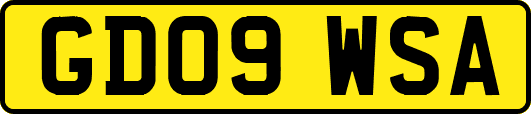 GD09WSA