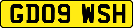 GD09WSH