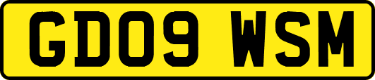 GD09WSM