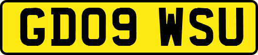 GD09WSU