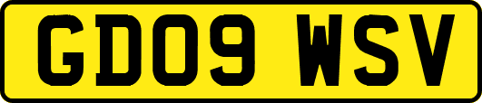 GD09WSV