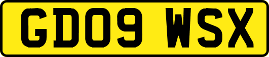 GD09WSX
