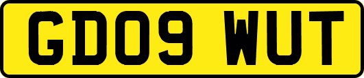 GD09WUT