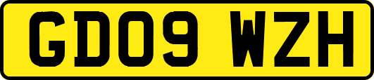 GD09WZH