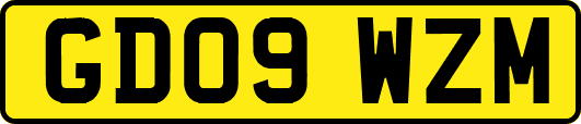 GD09WZM