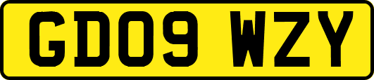 GD09WZY