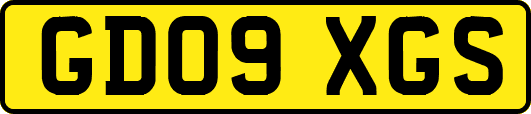 GD09XGS