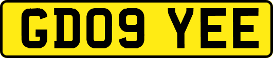 GD09YEE