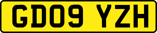 GD09YZH