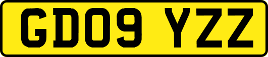 GD09YZZ