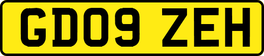 GD09ZEH