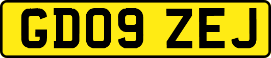 GD09ZEJ