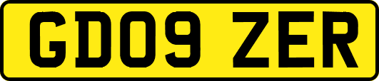 GD09ZER