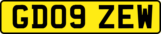 GD09ZEW