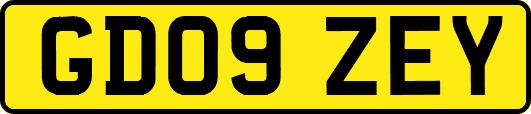 GD09ZEY