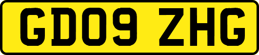 GD09ZHG