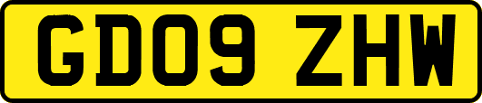 GD09ZHW