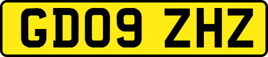 GD09ZHZ