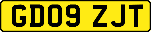 GD09ZJT
