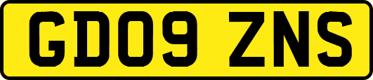 GD09ZNS