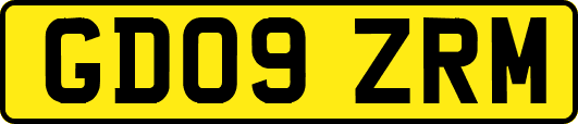GD09ZRM