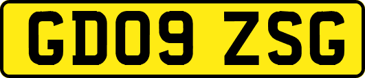 GD09ZSG
