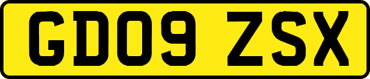 GD09ZSX