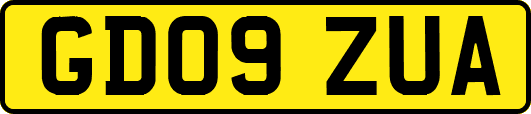 GD09ZUA