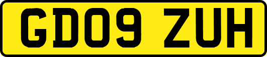 GD09ZUH