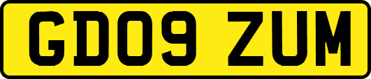 GD09ZUM