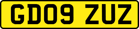 GD09ZUZ