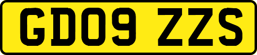 GD09ZZS