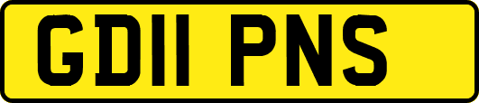 GD11PNS