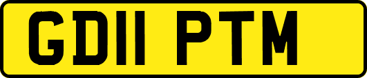 GD11PTM