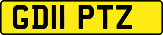 GD11PTZ