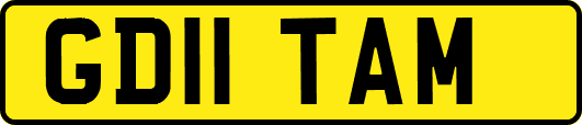 GD11TAM