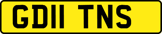GD11TNS