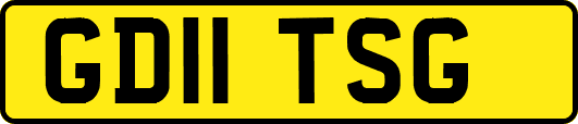 GD11TSG
