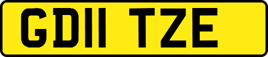 GD11TZE