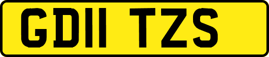 GD11TZS
