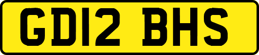 GD12BHS