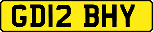 GD12BHY