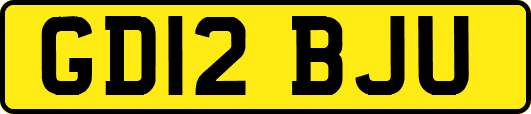 GD12BJU