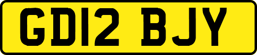 GD12BJY