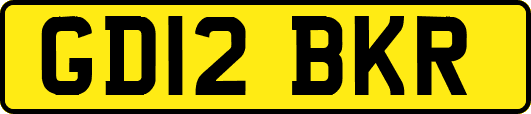 GD12BKR