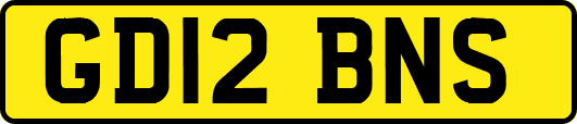 GD12BNS