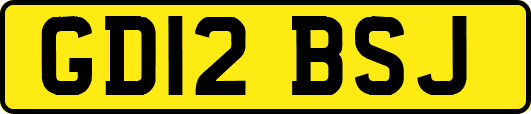 GD12BSJ