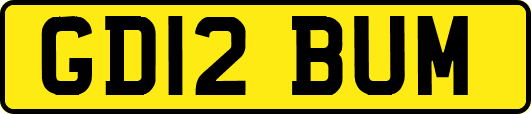 GD12BUM