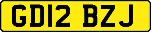 GD12BZJ