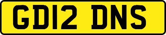 GD12DNS